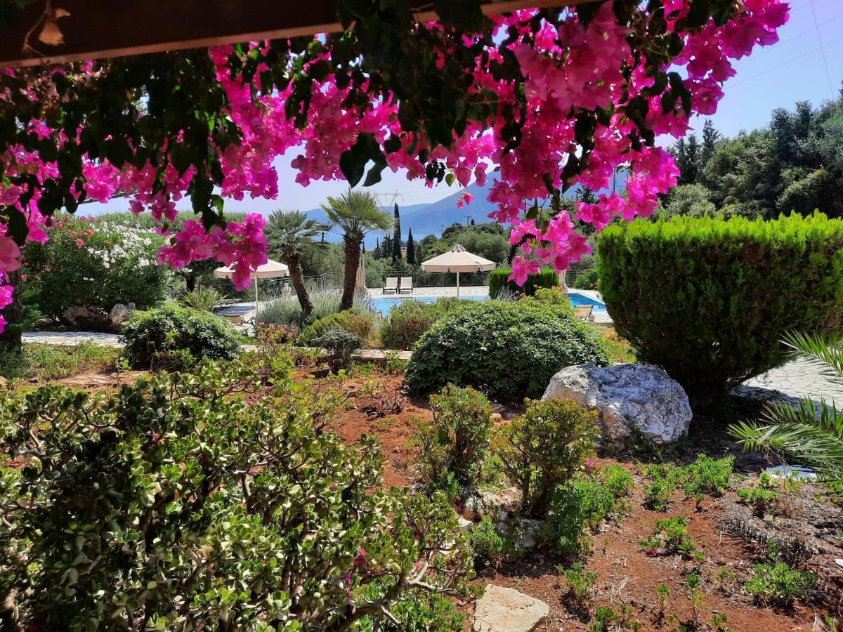 Panorama Apartments Fiscardo 피스카던 외부 사진